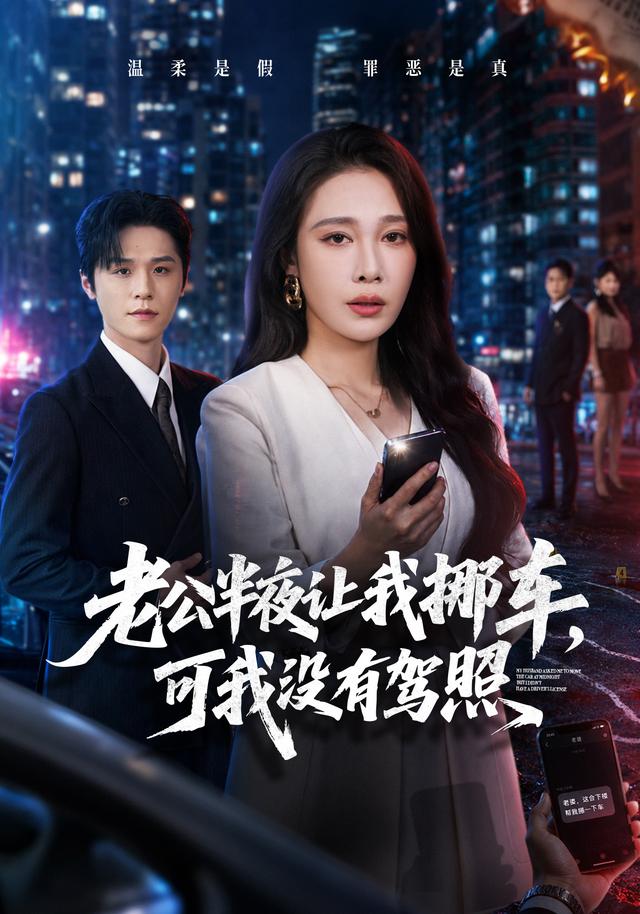 老公半夜让我挪车，可我没有驾照海报